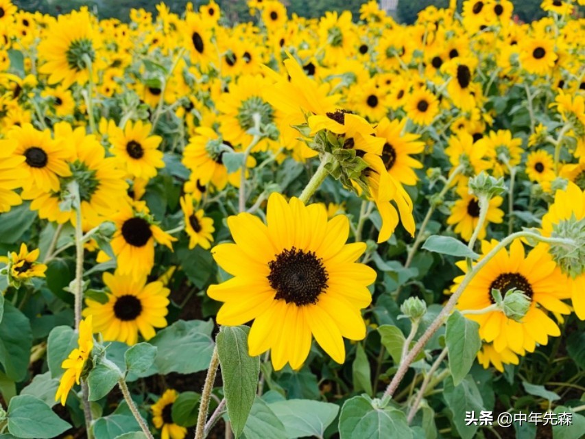 衡量一个人价值最高的指标,聪明人的重要参考指标