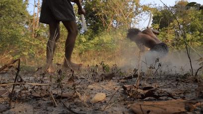 木棍怎么挖出泳池,一根棍子挖出一个游泳池