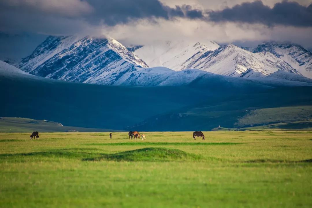 涓嶈兘鍘诲鍦扮殑鐞嗙敱,浜旂浜轰笉鑳藉幓鐤嗗唴鏃呮父