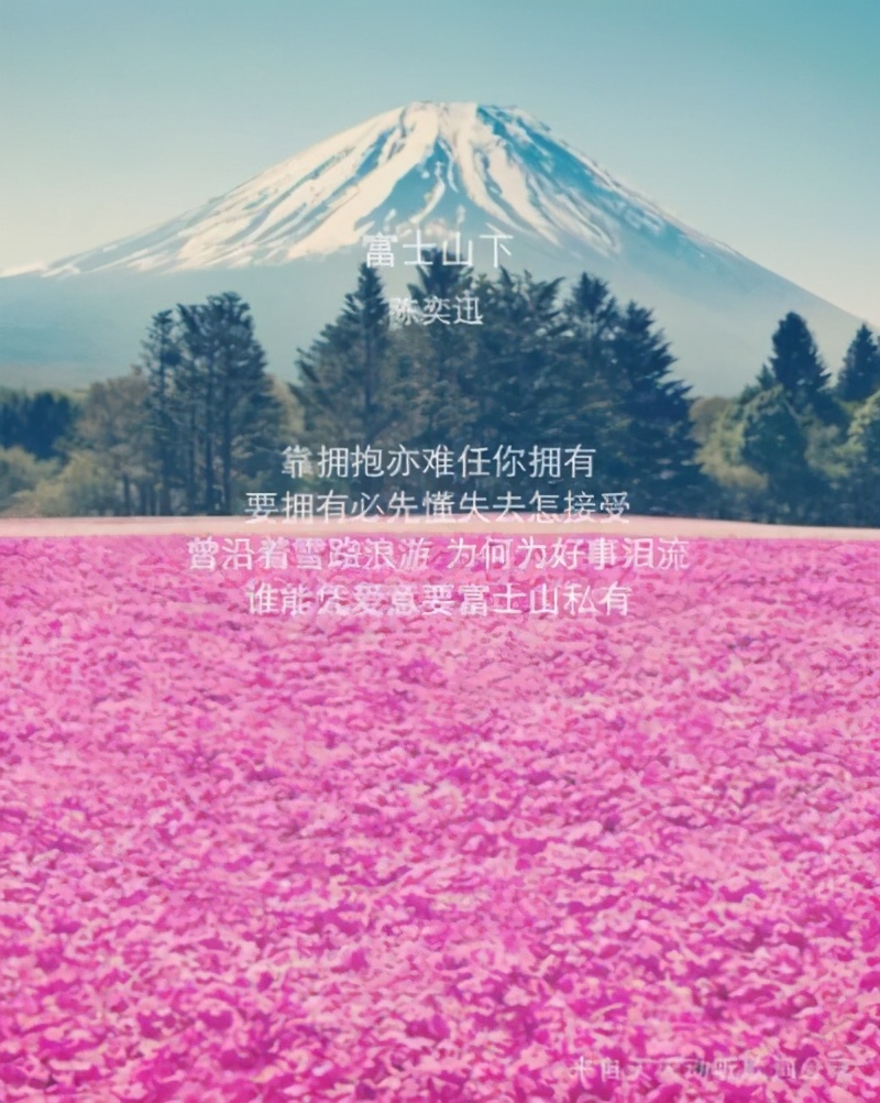 最好听的十首粤语歌听了想哭,最好听的十首粤语歌曲经典