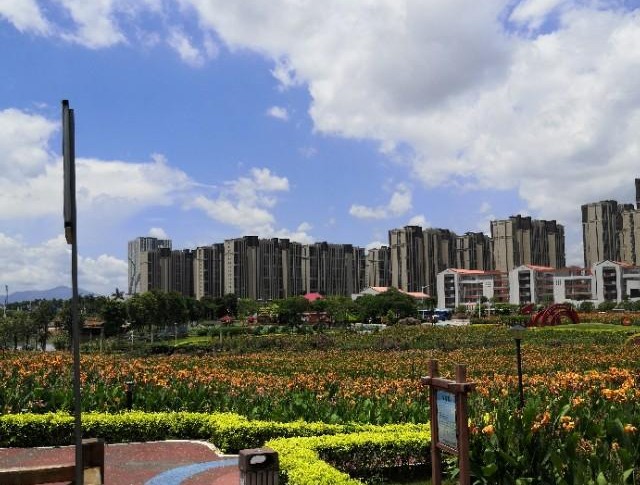 厦门楼盘销售信息查询,厦门楼盘推荐100万