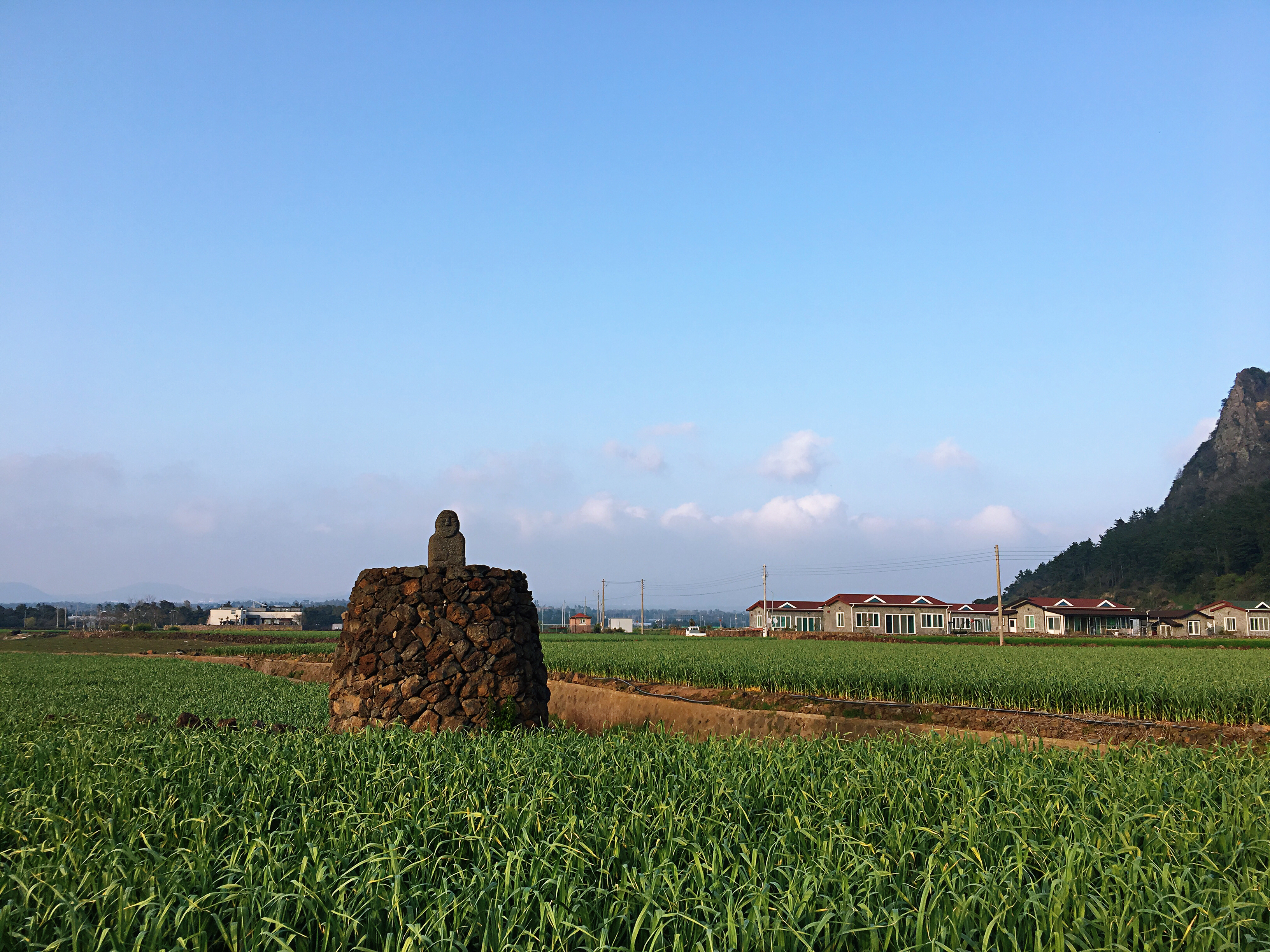 出国游玩新手小白,出国去韩国济州岛打工