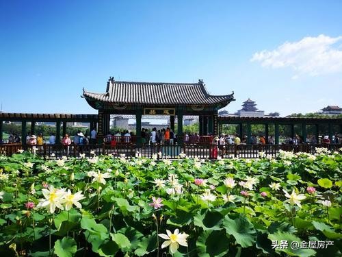 莲花池畔烂尾,昆明莲花池畔烂尾