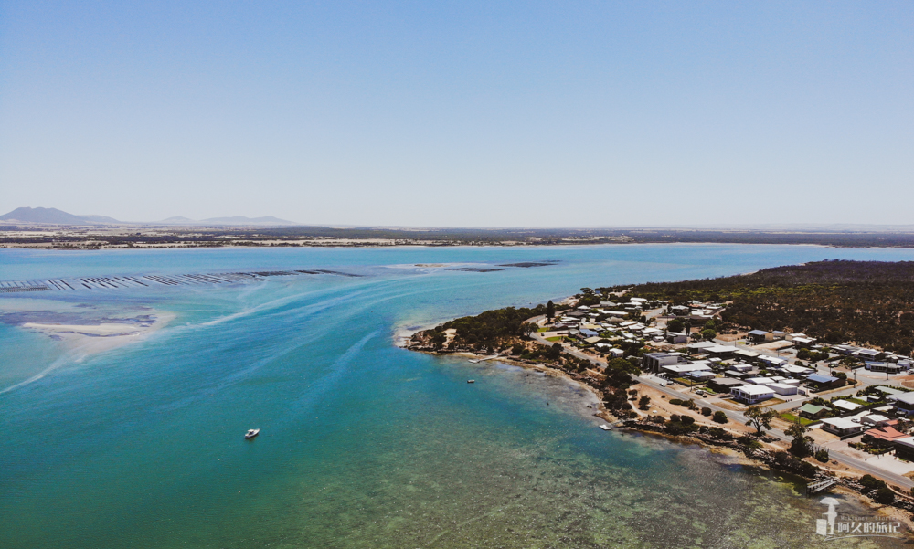 在南澳大利亚的艾尔半岛，Get黄教主同款生蚝农场之旅