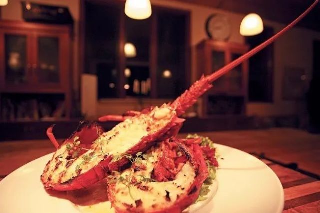 澳洲龙虾出口到中国多少钱一斤,澳洲龙虾进口批发市场