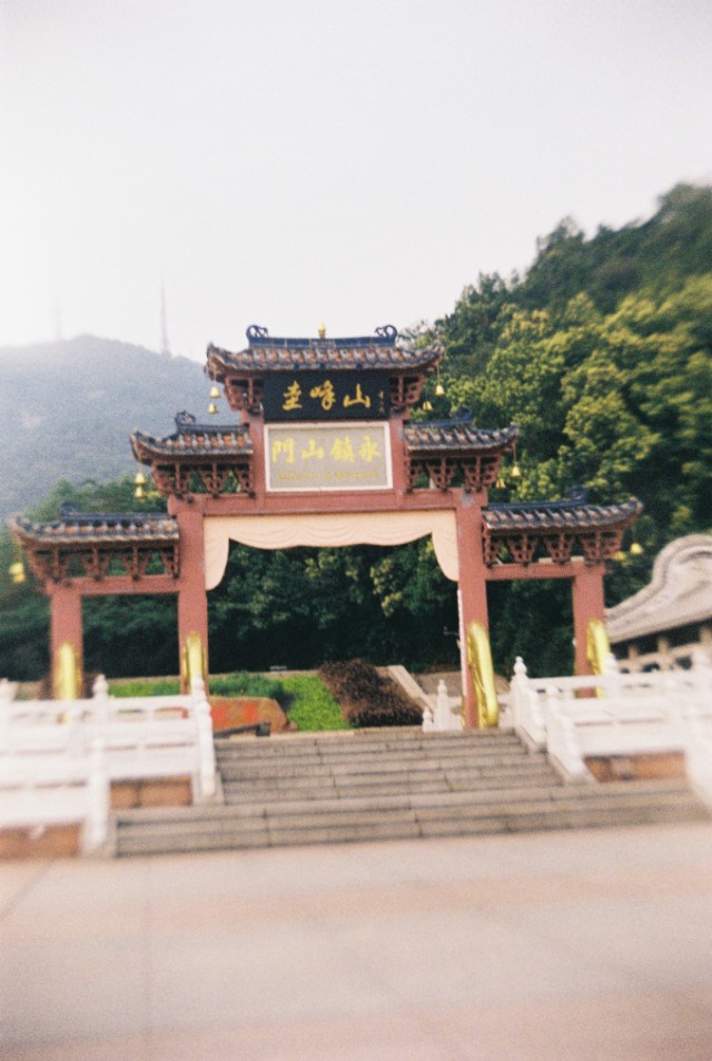 胶片相机拍照技巧,胶片相机拍照