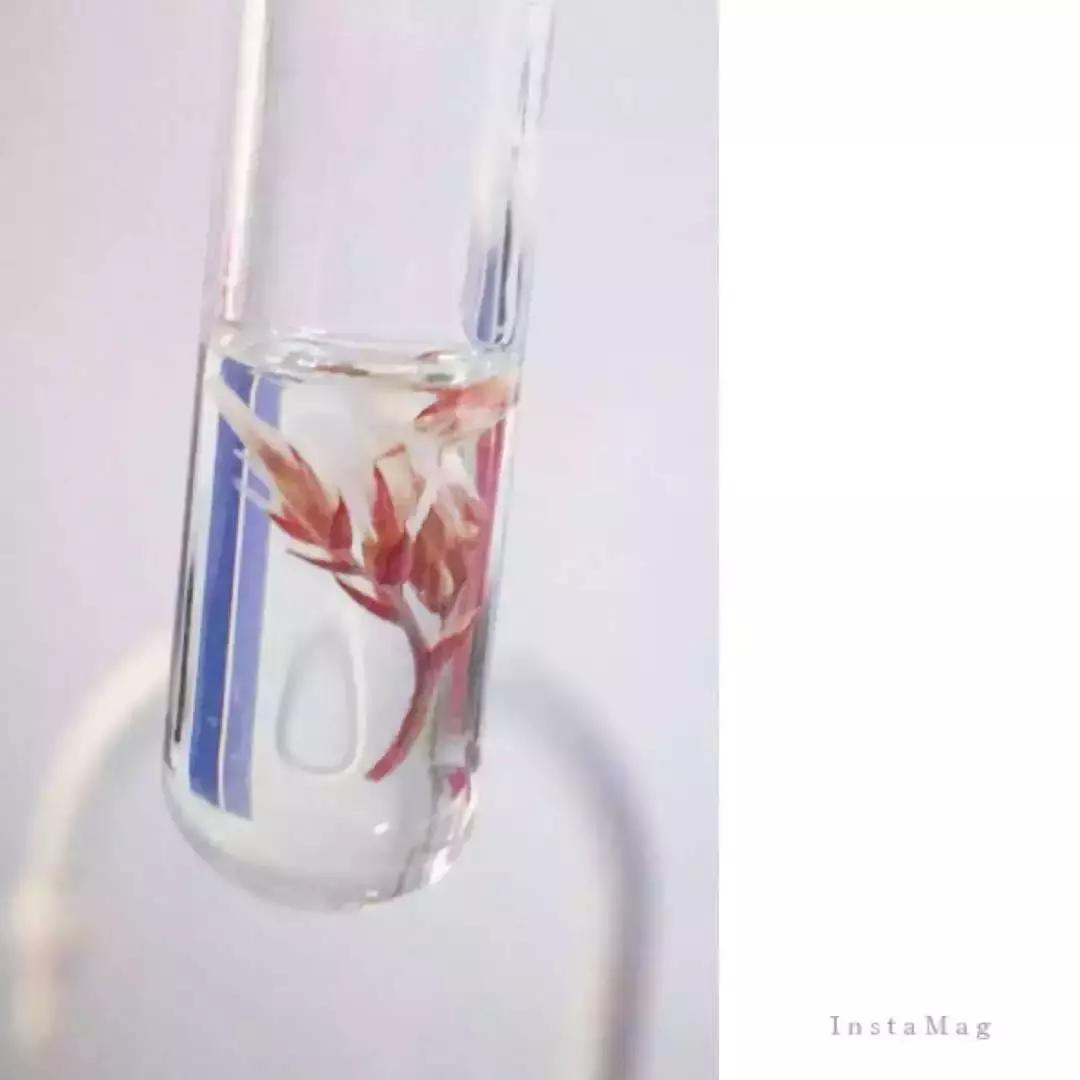 终局之战！！“光影化境”悦昌行杯摄影大赛复赛等你投票~