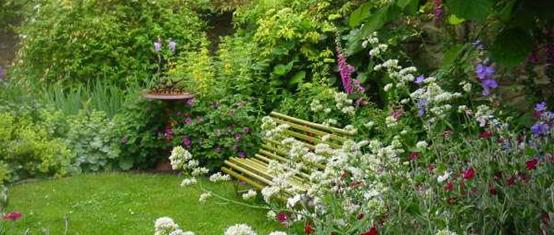 萎缩性阴道炎症状及治疗,老年阴道炎症状用什么药