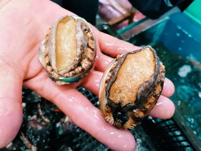 现在郑州去哪买东西,郑州人购物选哪