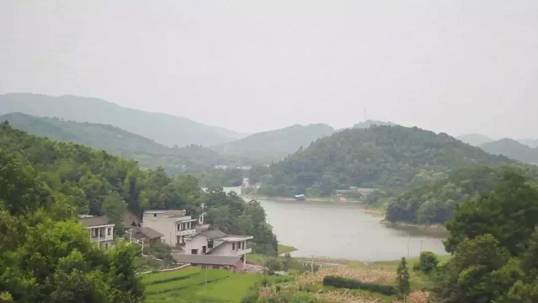 汽车之家市值为什么那么高,汽车之家恶意封杀怎么解决