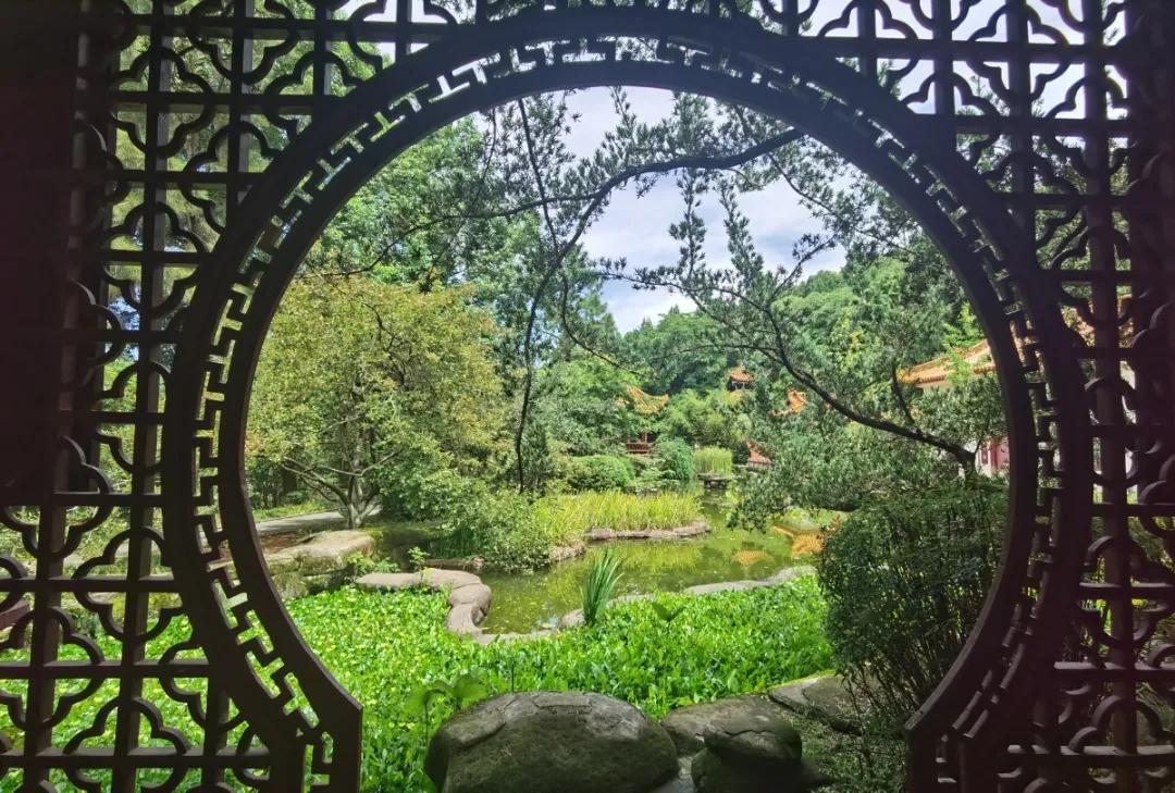 登上富乐山山顶看绵阳美景,登高赏菊富乐山