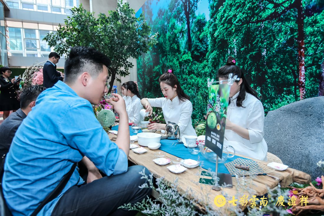 用古树普洱茶致敬美好生活，看吴晓波是如何解读“百山百味”的？