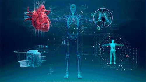 史上最黑材料，重返月球，未来计算机——证明世界在变好的5件事