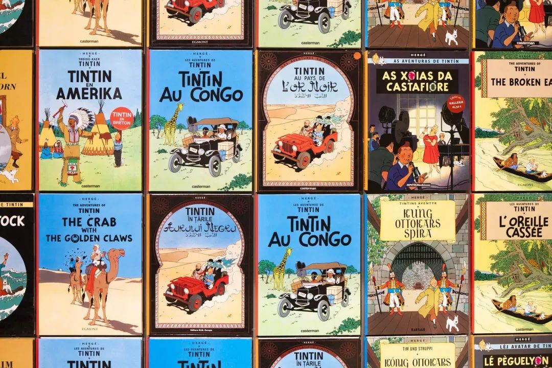 丁丁历险记电影在线观看,丁丁历险记动画国语全集