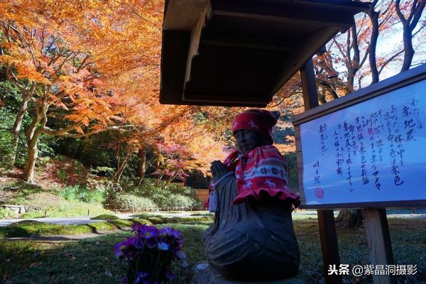 700年历史的日本小寺，为了看秋叶要买两次票，一次比一次贵