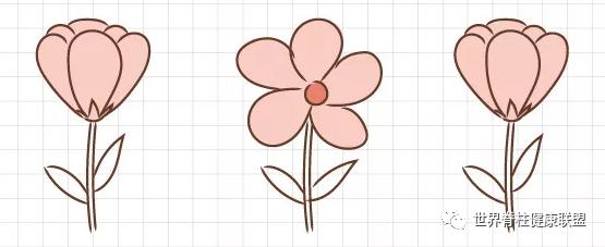 “啪啪啪”的玄机,原来在这块肌肉上