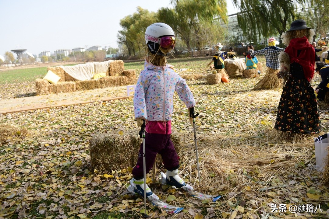 没有比利时花园游,来点比利时啤酒吧|随笔