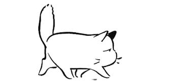 地块拍卖价330万,土地竞拍楼面价