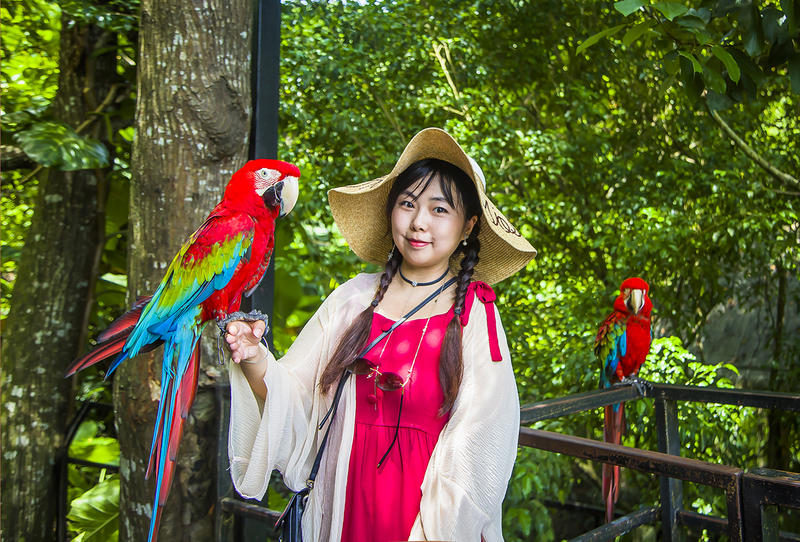 玩转三亚,玩转三亚日与夜