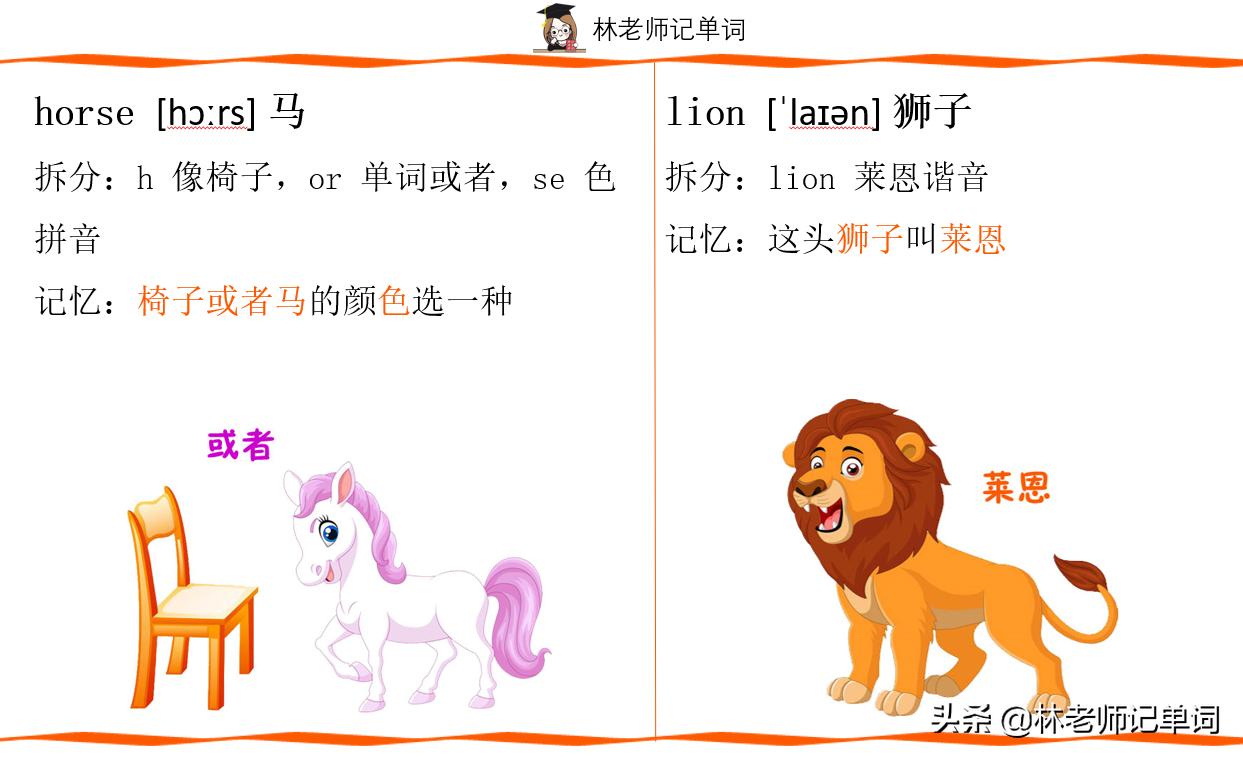 动物单词怎么快速默写,英语巧记动物单词