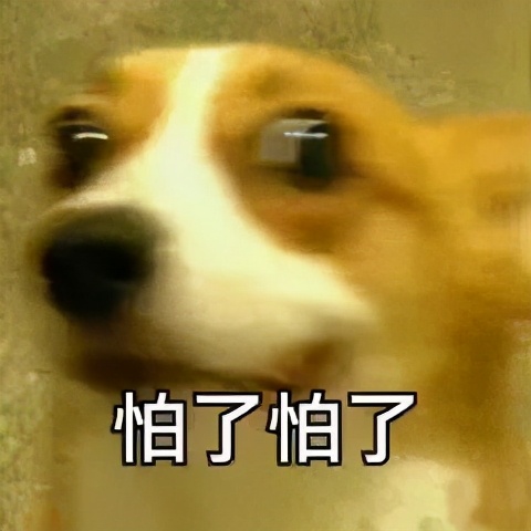 算了还是要上班系列表情包,一想到明天上班就想打个人表情包