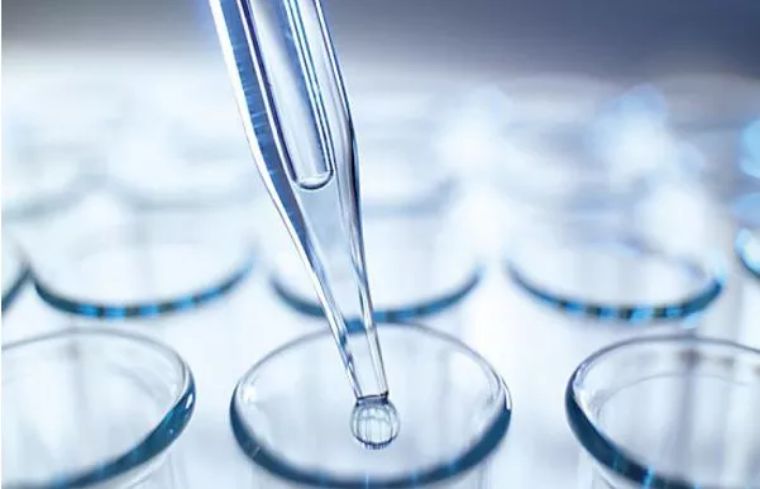 鏁欎綘璇绘噦瀛╁瓙鐨勭敾,鏁欎綘璇绘噦瀛╁瓙鐨勫寲楠屽崟