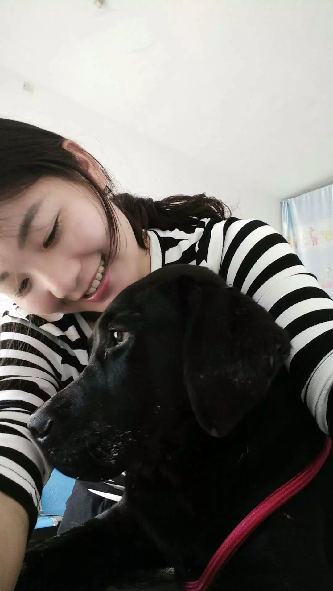 养狗怎么才能坚持下去,养狗总会把家弄乱