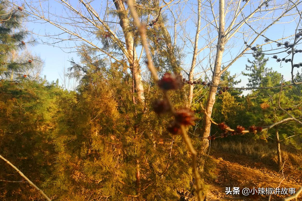 安妮生气了绘本,安妮生气的时候