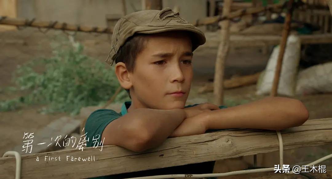 最新的十大必看国产电影,新上映的七部电影