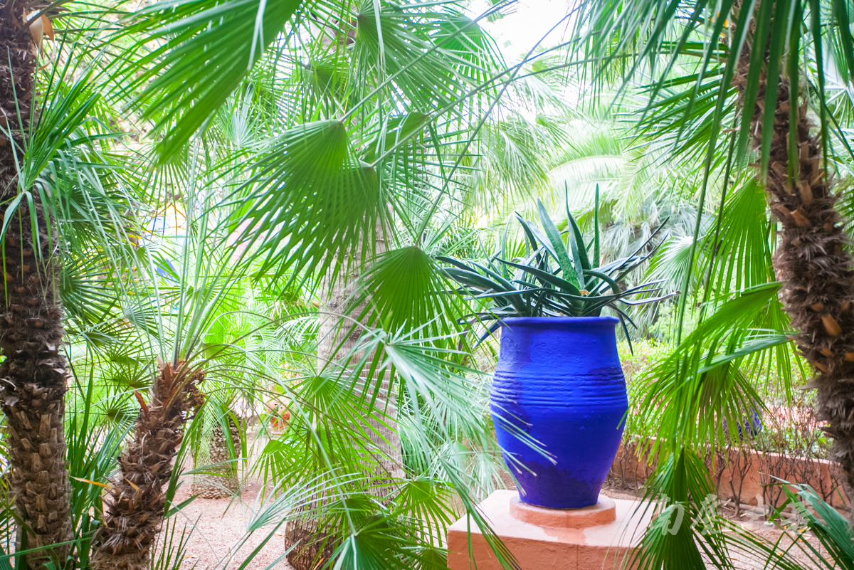 伊夫圣罗兰何时逝世,伊夫圣罗兰葬礼