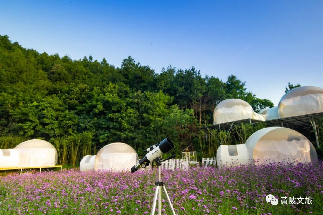 黄陂印象桃源民宿,黄陂区木兰花乡印象酒店