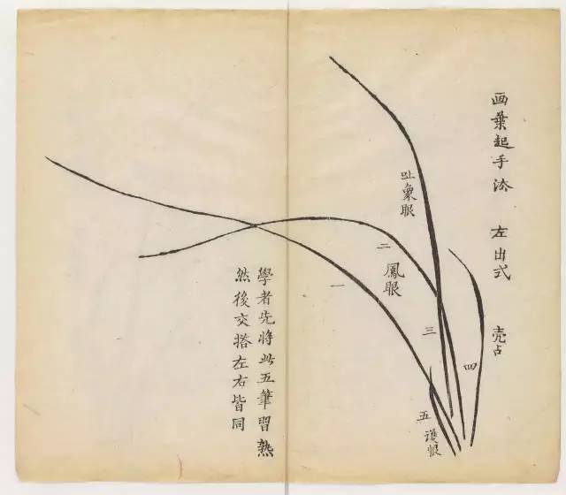 毛笔怎么画兰草,怎么画兰花和书法