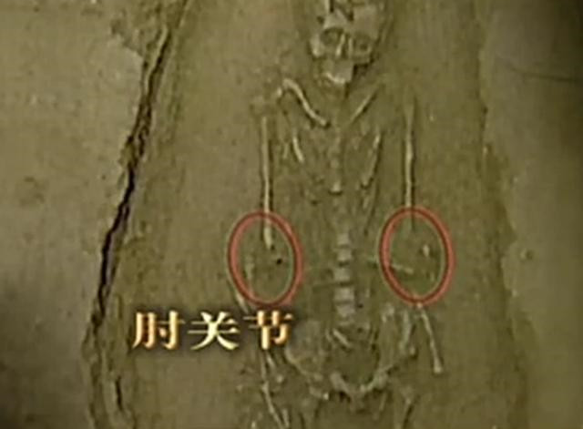陕西挖出7000年前少女，曾被上百人*攻围**，专家：只因为她是石女