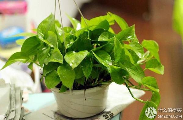 甲醛对人的危害怎样预防甲醛中毒,冬天甲醛更活跃如何躲避甲醛危害