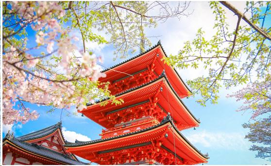 来到日本不能错过章鱼小丸子,去京都不可错过的和服体验