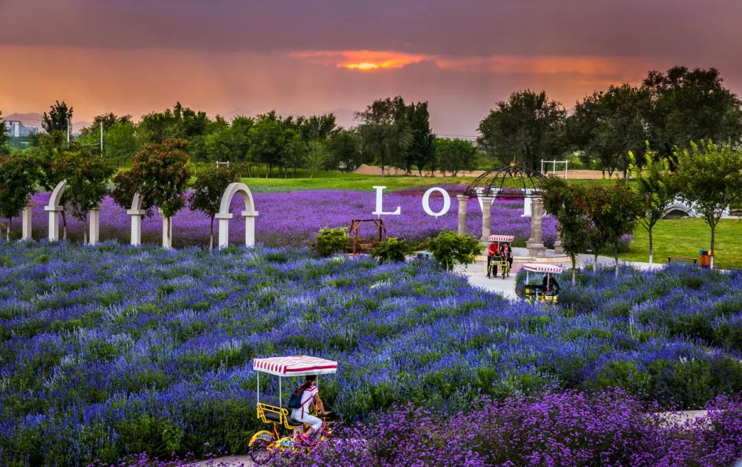 閲戠涓板彴璧忕帺鏀荤暐鍑虹倝,涓板彴閲戠鏂囧寲鏃呮父鏀荤暐