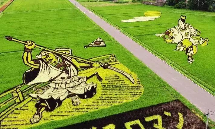 敬畏自然、超前思维、死磕单品，变态的日本农业留给我们的思考！