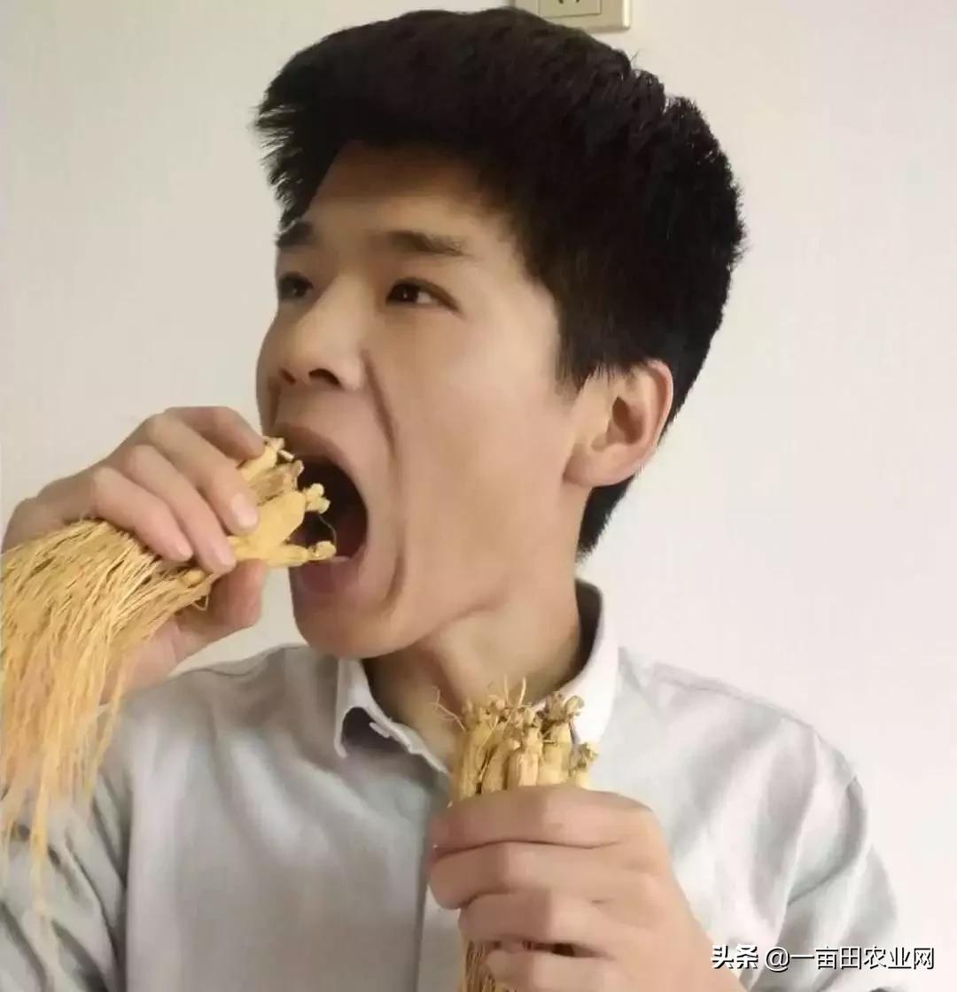 直播卖农产品视频教程,直播卖货视频怎么做