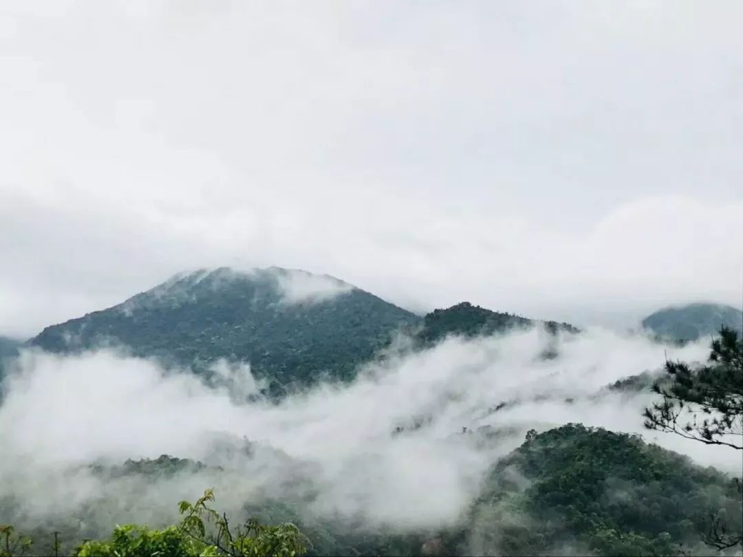 森呼吸运动乐园乘车路线,森呼吸好玩吗