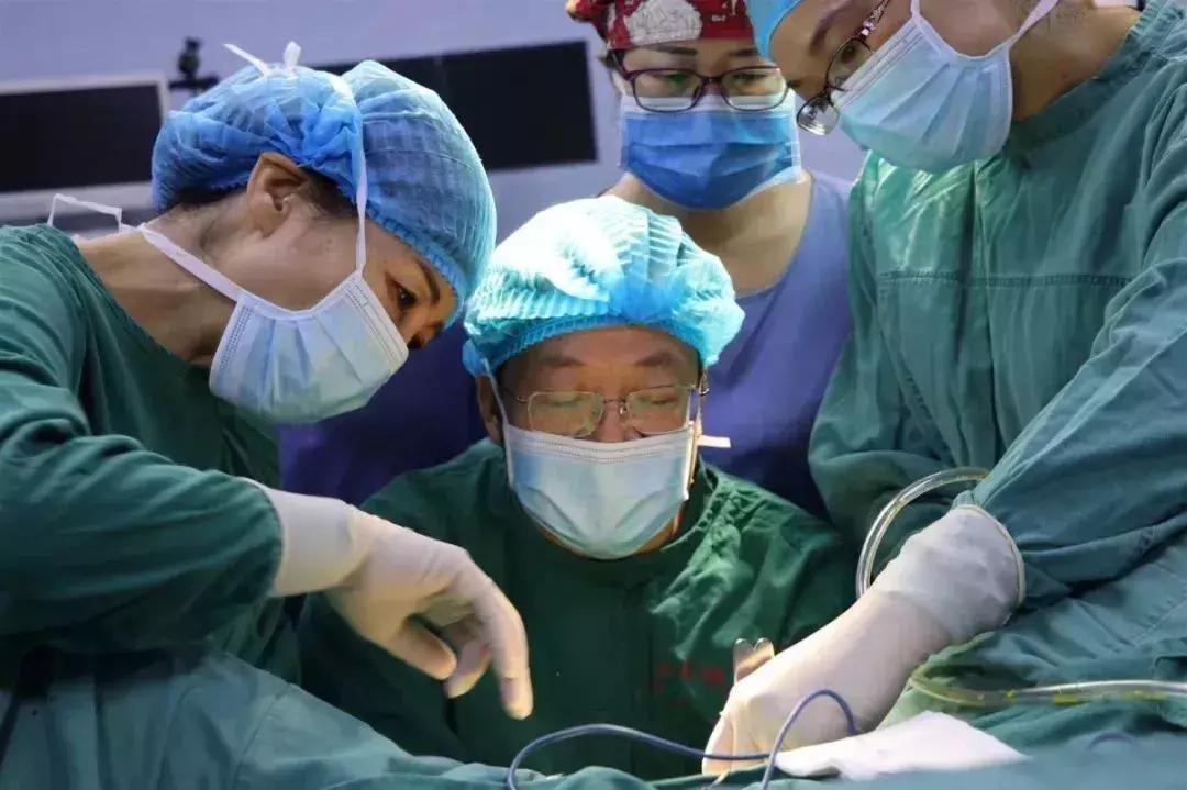 童教授最新视频,不一样的专家教授