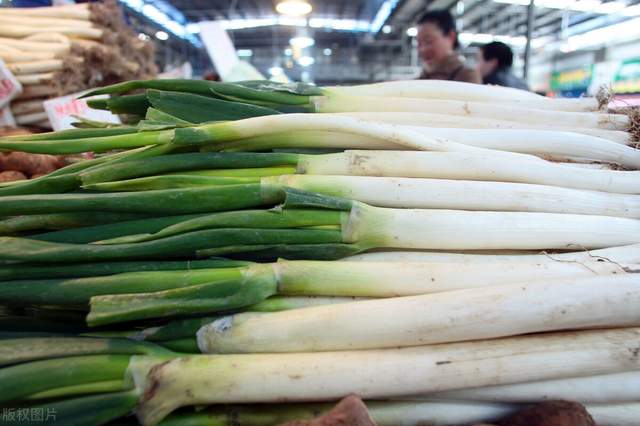 北京新发地蔬菜批发今日价格白菜,北京蔬菜批发市场新发地今日菜价