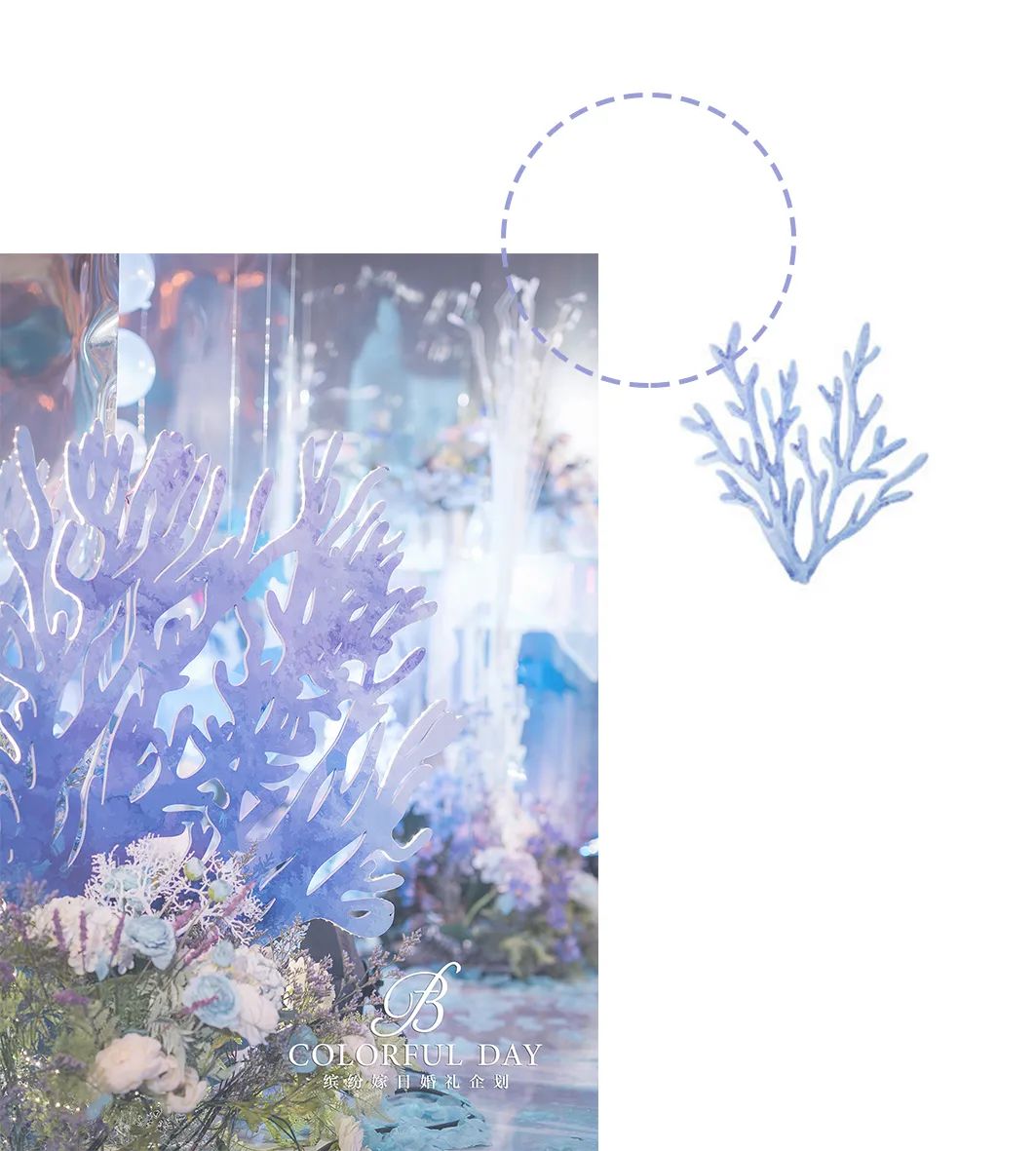 神秘海洋系婚礼,神秘海洋婚礼