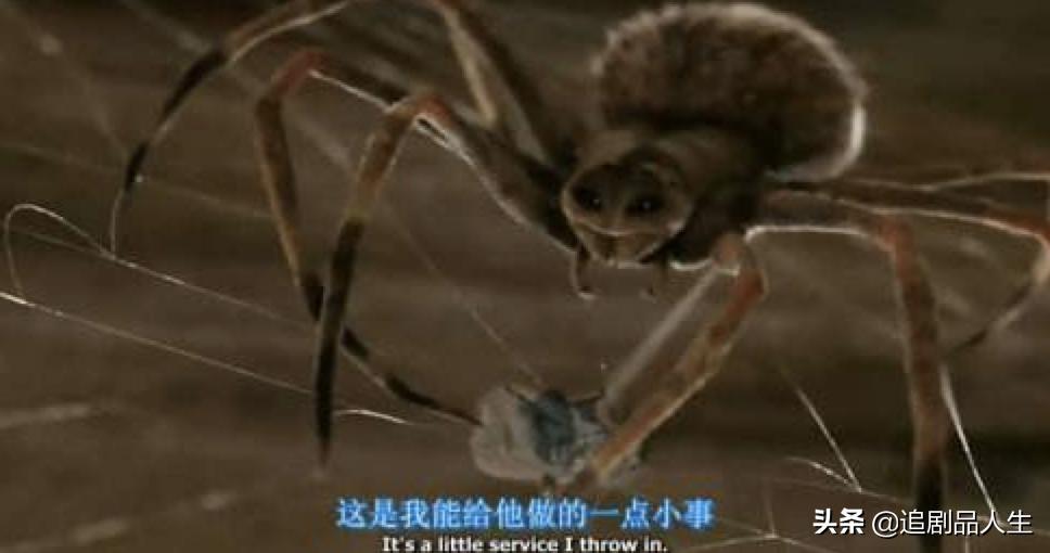 夏洛特的网教育意义,夏洛特的网的读书心得