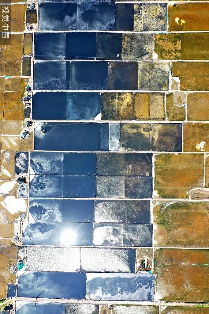 什么是温州游戏,什么是温州