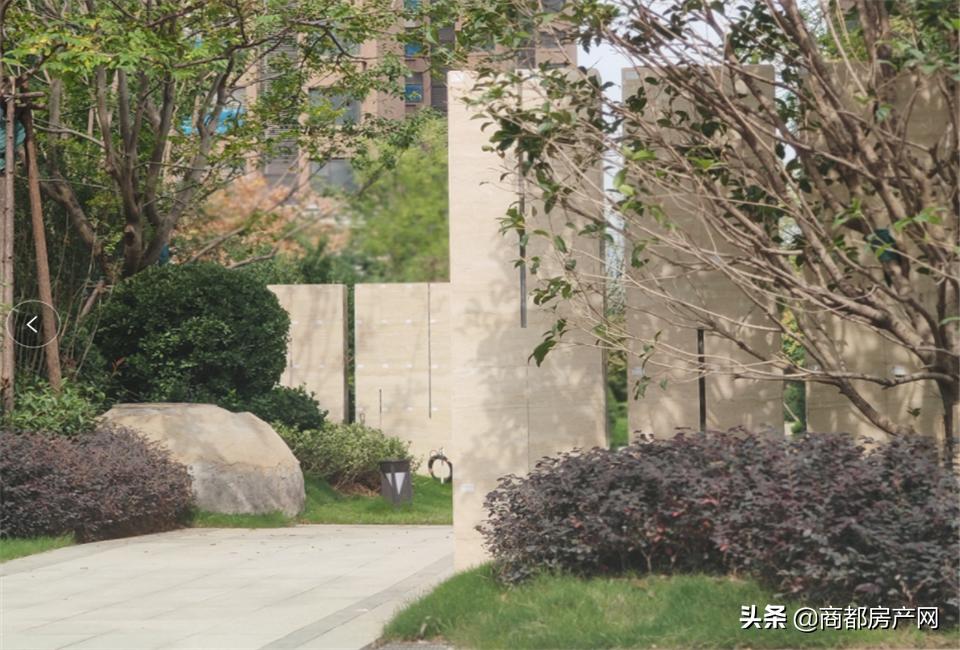 瀹炴帰鎴愮啛鏉垮潡,瀹炴帰杩愭渤鏂板煄鏉垮潡