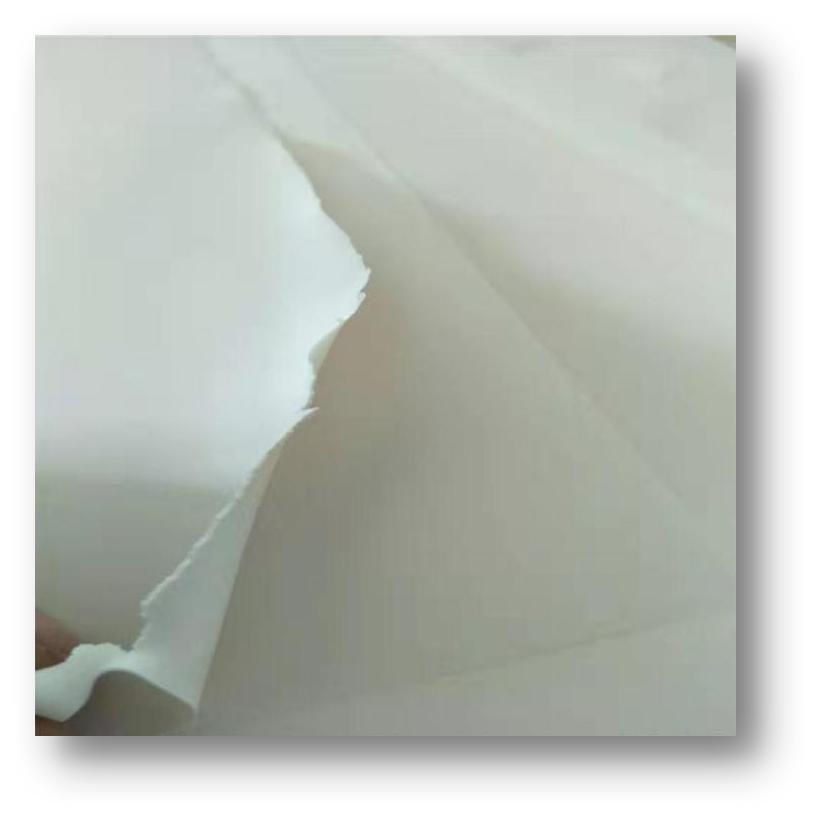 CLOUDELEVEN零食，引领数码影像进军国内蛋糕市场