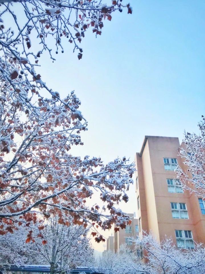 山东省曲阜市齐鲁理工学院,山东八大高校民办