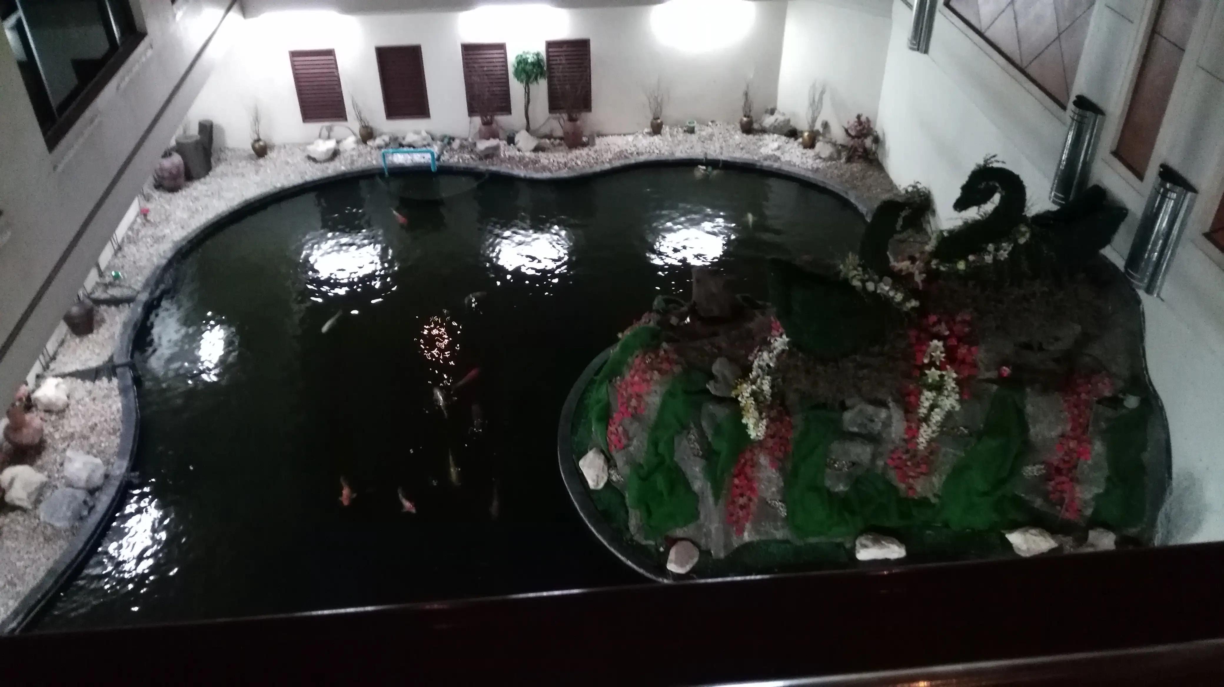 阿莲的聊天,阿莲聊短视频