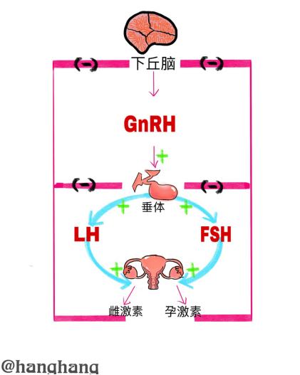 漫画不孕不育科普,不孕不育科普漫画