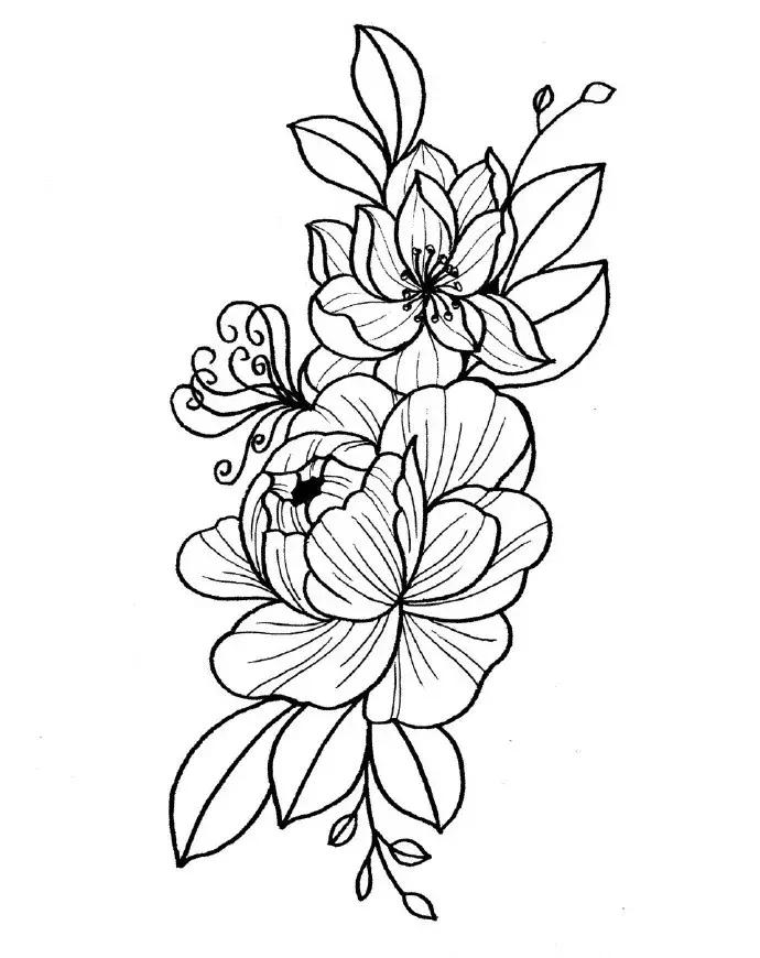 高级线描画花卉大全,花卉线描100种